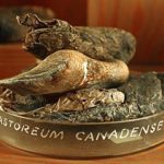Castoreum from Beaver
